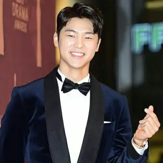 ❤️ homem, retrato, coreano, ator, roupa formal, gravata borboleta, coração com os dedos telegram sticker