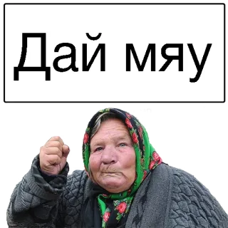 😣 Дай мяу anciana, enojada, abuela, meme, dame miau telegram sticker
