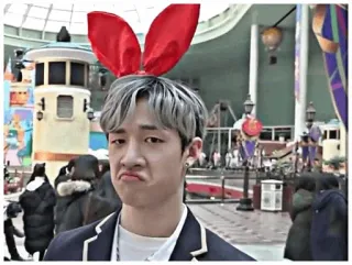 🎈 Bang Chan бан чан, k-pop, stray kids, заячьи уши, айдол, смешной, корея telegram sticker