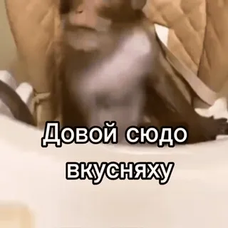 😋 Довой сюдо вкусняху telegram sticker
