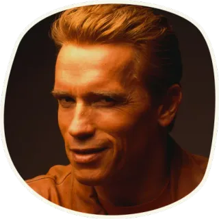 😉 Arnold Schwarzenegger Ator, Celebridade, Estrela de cinema, Retrato, Arnold Schwarzenegger telegram sticker