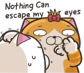 😌 Nothing Can escape my eyes Katze, Augen, Flucht, beobachten, schauen, wachsam, Aufmerksamkeit telegram sticker