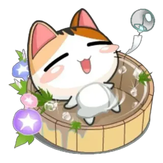 🛁 แมว, อาบน้ำ, น่ารัก, คาวาอิ, สัตว์, ผ่อนคลาย, มีความสุข, ฤดูร้อน, ญี่ปุ่น telegram sticker