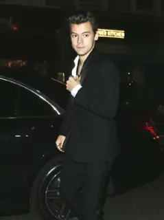 💶 Harry Styles célébrité, chanteur, acteur, mode, harry styles, one direction telegram sticker