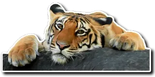 Derptacular Felines telegram stickers