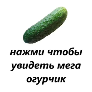 🥒 нажми чтобы увидеть мега огурчик Gurke, Essen, Gemüse, Clickbait, Meme, Russisch telegram sticker