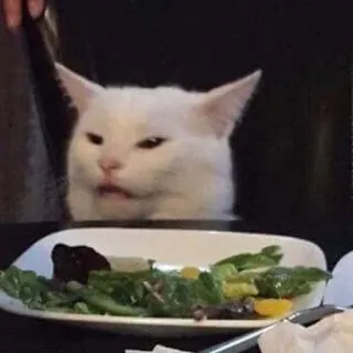 😺 chat, mème, salade, drôle, dégoûté, chat blanc telegram sticker