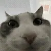😕