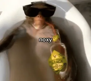 ☺️ поху singe, lunettes de soleil, boisson, baignoire whatsapp sticker