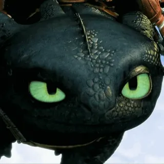 📍 Toothless How to Train Your Dragon Drache, niedlich, Cartoon, Tier telegram sticker