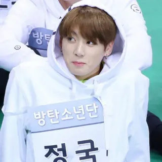 🍀 Jungkook 방탄소년단
정국 Kpop, BTS, Jungkook, Coreano, Cantante telegram sticker
