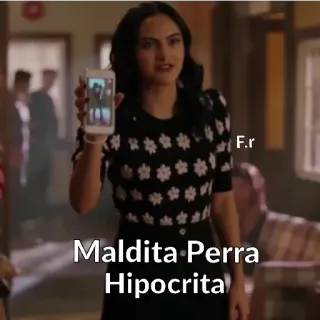 😤 Maldita Perra Hipocrita insultante, ofensivo, español, palabrota telegram sticker