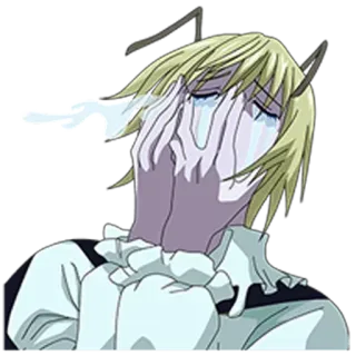 😭 telegram sticker