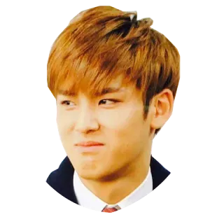 😹 telegram sticker