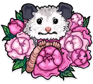 🌸 опоссум, пионы, цветы, милый, наклейка, животное, цветочный, иллюстрация whatsapp sticker