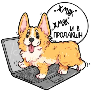 👌 “ХМЯК”
“ХМЯК”
И В
ПРОДАКШН корги, собака, ноутбук, мультфильм, милый, животное whatsapp sticker