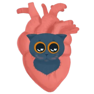 ❤ cuore, gatto, animale, carino, kawaii, adesivo, amore telegram sticker