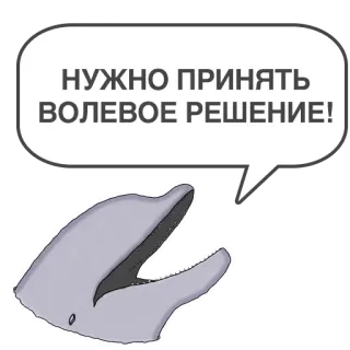 🙄 НУЖНО ПРИНЯТЬ ВОЛЕВОЕ РЕШЕНИЕ! delfín, bocadillo, ruso, decisión, animal, criatura marina whatsapp sticker