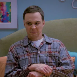 🥱 Sheldon Cooper The Big Bang Theory sheldon, the big bang theory, jim parsons, tv show, sitcom telegram sticker