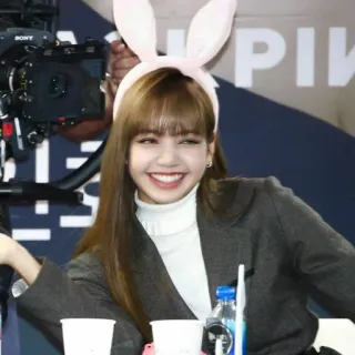 🌼 Lisa Lisa, K-pop, oreilles de lapin, Idole, chanteuse, Blackpink, célébrité, femme whatsapp sticker