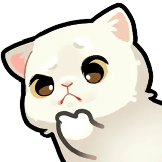 🤔 White cat telegram sticker