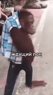 🥱 ждущий пон telegram sticker