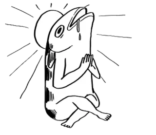 🐈 whatsapp sticker