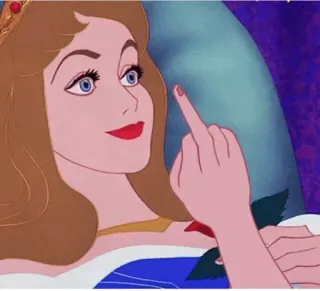 🖕🏻 @amishbni whatsapp stickers