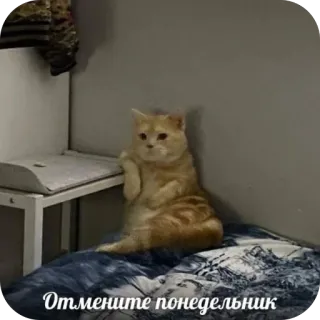 🫥 Отмените понедельник telegram sticker