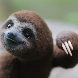sloth telegram stickers