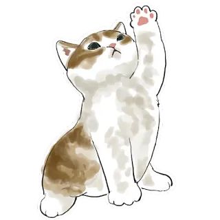 🥺 猫, 子猫, 動物, かわいい, ペット, 猫ちゃん, 遊び好き telegram sticker