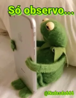 👀 Kermit the Frog Só observo... Kermit, frog, meme, observing, puppet, internet meme telegram sticker