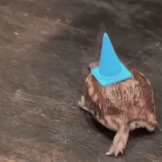 🏃‍♂ turtle, cone, animal, pet, cute, blue cone telegram sticker