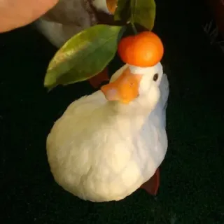 🍊 duck, bird, animal, orange, fruit whatsapp sticker