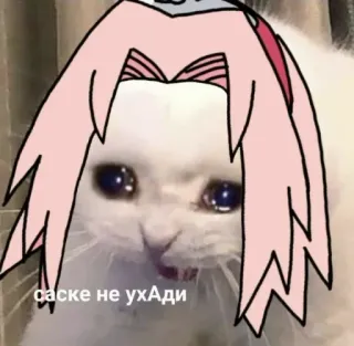 😭 Sakura Naruto саске не ухАДи cat, anime, sakura, sad, meme telegram sticker