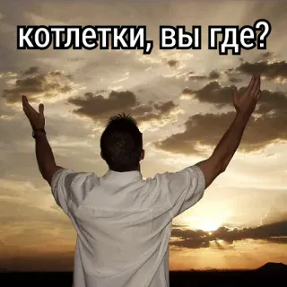 🕊️ котлетки, вы где? man, sky, clouds, question, kotletki, where are you telegram sticker