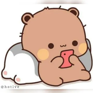 🤫 @hotlve bear, cat, cartoon, cute, animal telegram sticker