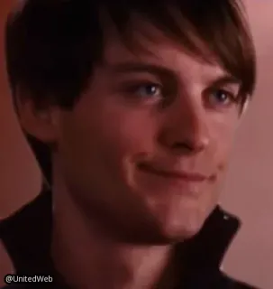 🕷 Peter Parker Spider-Man smirk, tobey maguire, movie, meme, actor, spider-man telegram sticker