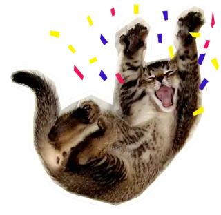 😃 แมว, ฉลอง, มีความสุข, สัตว์, ลูกแมว, น่ารัก, ปาร์ตี้, กระดาษสี telegram sticker