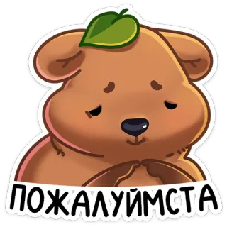 🥺 ПОЖАЛУЙСТА Bär, Bitte, Niedlich, Tier, Cartoon whatsapp sticker