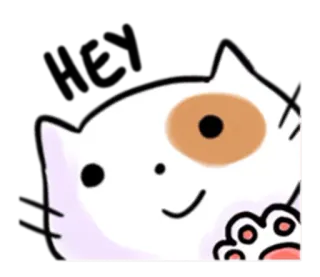 👋 chat, animal, mignon, kawaii, chaton, autocollant telegram sticker