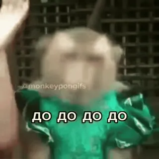 👌 ДО ДО ДО ДО monkey, ape, animal, meme, funny telegram sticker