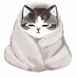 🥞 cat, kitten, blanket, cute, sleepy, cozy, animal telegram sticker