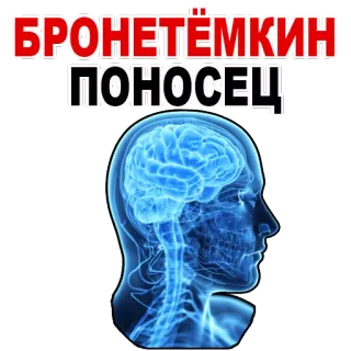😱 БРОНЕТЁМКИН
ПОНОСЕЦ brain, head, russian text, anatomy, scan telegram sticker