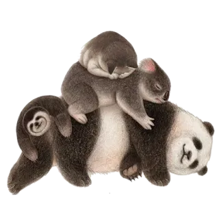 😴 판다, 코알라, 동물, 나무늘보, 귀여운 telegram sticker