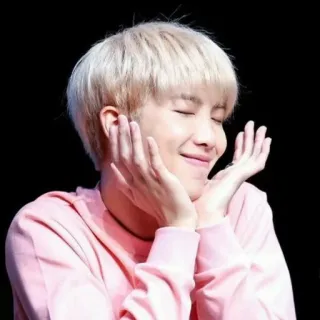 🌸 portrait, person, smiling, kpop telegram sticker