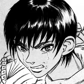 🗡️ Casca Berserk อนิเมะ, มังงะ, ร้องไห้, เศร้า, น้ำตา, ตัวละคร telegram sticker