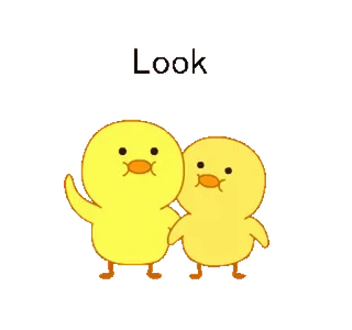 🐥 Look pássaros, pintinhos, fofo, amarelo, desenho animado telegram sticker