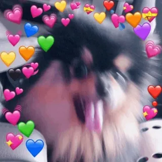 🌪 cane, cuori, amore, carino, animale telegram sticker