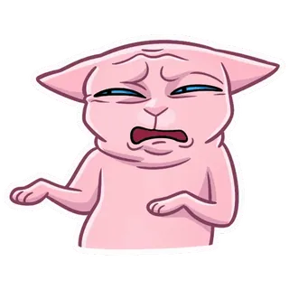 🤢 kot, zwierzę, śmieszne, wyraz, mem whatsapp sticker